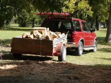 [Hearth.com] City Park with fallen Pecan