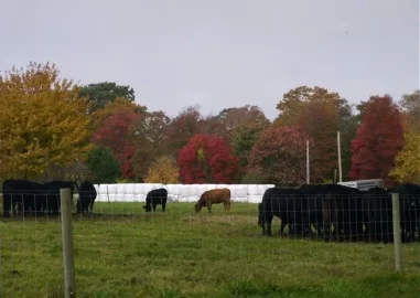 [Hearth.com] Fall Pics thread