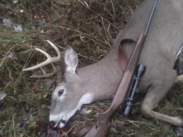 [Hearth.com] Hunting up north