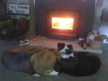 [Hearth.com] Speaking of stove temps.....