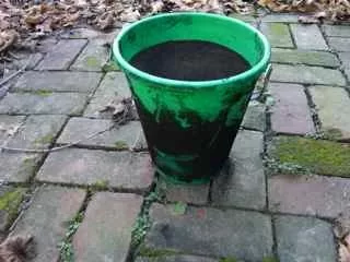 [Hearth.com] Swept Chimney today