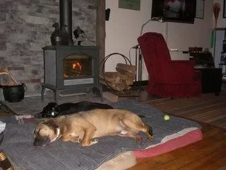 [Hearth.com] Dogs loving stove