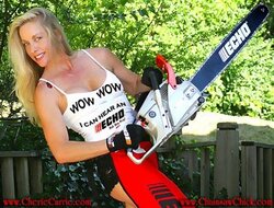 Wife wants a Stihl chainsaw