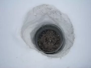 [Hearth.com] Ash disposal in cardboard box- Glad I read this forum!