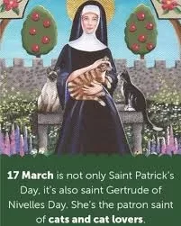 [Hearth.com] St Patrick’s Day