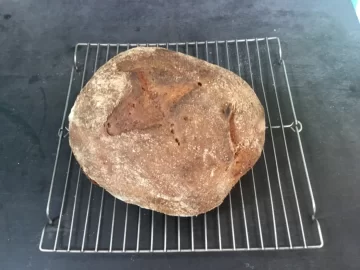 [Hearth.com] Cooking thread, anyone?
