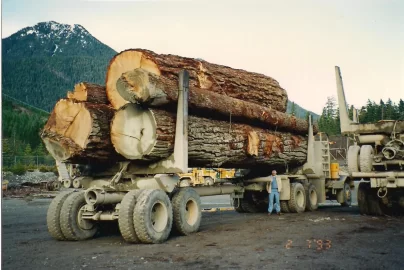 [Hearth.com] Burning pine vs western hardwoods