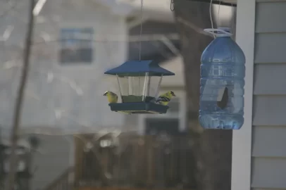 [Hearth.com] Goldfinch's in PEI