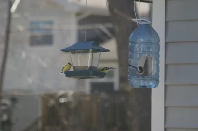 [Hearth.com] Goldfinch's in PEI