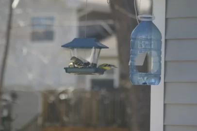 [Hearth.com] Goldfinch's in PEI