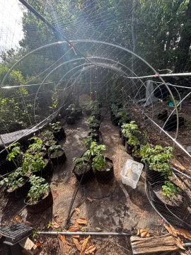 [Hearth.com] 2025 Garden Thread
