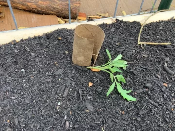 [Hearth.com] 2025 Garden Thread