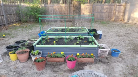 [Hearth.com] 2025 Garden Thread