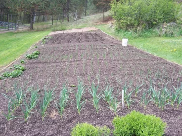 [Hearth.com] 2025 Garden Thread
