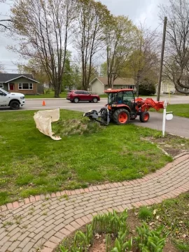 [Hearth.com] Stump Grinding