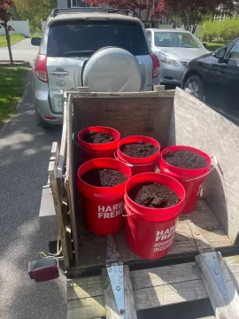 [Hearth.com] 2025 Memorial Day weekend Garden Planting Done! Is yours done? How big and What is the cost?