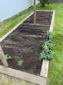 [Hearth.com] 2025 Memorial Day weekend Garden Planting Done! Is yours done? How big and What is the cost?