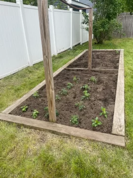 [Hearth.com] 2025 Memorial Day weekend Garden Planting Done! Is yours done? How big and What is the cost?