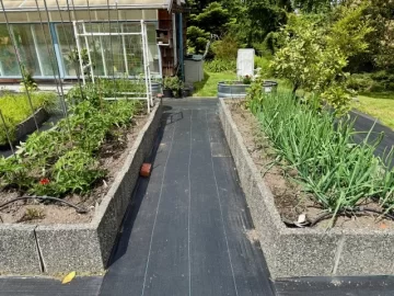 [Hearth.com] 2025 Garden Thread