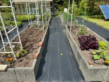 [Hearth.com] 2025 Garden Thread