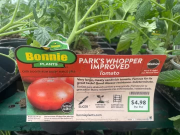 [Hearth.com] 2025 Memorial Day weekend Garden Planting Done! Is yours done? How big and What is the cost?
