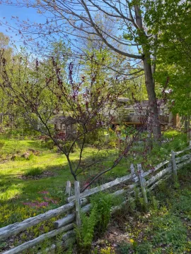 [Hearth.com] 2025 Garden Thread
