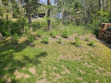 [Hearth.com] 2025 Garden Thread