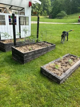 [Hearth.com] 2025 Garden Thread