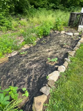 [Hearth.com] 2025 Garden Thread
