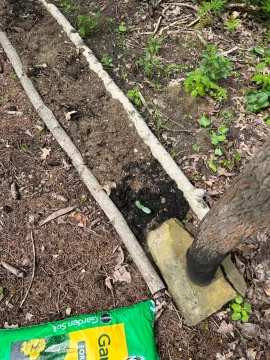 [Hearth.com] 2025 Garden Thread