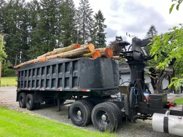 [Hearth.com] Great fun with the chinese clone 372XP