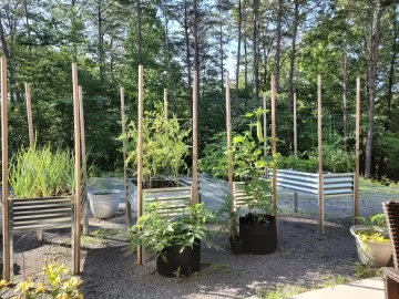 [Hearth.com] 2025 Garden Thread