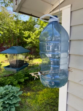 [Hearth.com] Goldfinch's in PEI