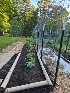 [Hearth.com] 2025 Garden Thread