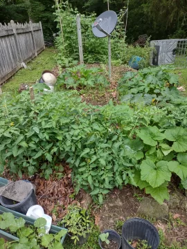 [Hearth.com] 2025 Garden Thread