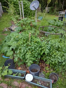 [Hearth.com] 2025 Garden Thread