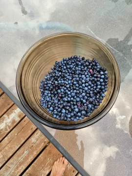 [Hearth.com] Berries