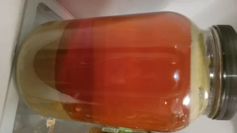 [Hearth.com] Home brewing thread anyone?