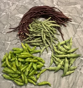 [Hearth.com] 2025 Garden Thread