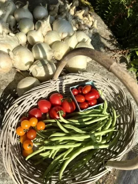[Hearth.com] 2025 Garden Thread