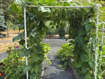 [Hearth.com] 2025 Garden Thread
