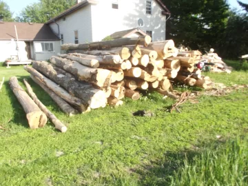 [Hearth.com] Is it more cost-effective to buy firewood or to obtain log-length wood and process it personally?