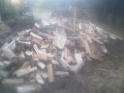 wood pile.jpg