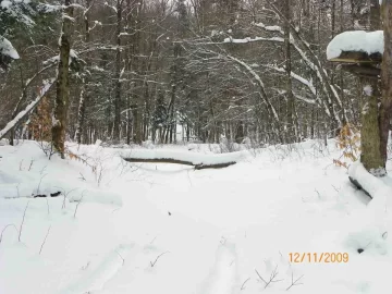 [Hearth.com] 2009 First Snow Fall