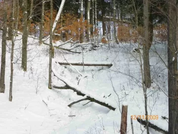 [Hearth.com] 2009 First Snow Fall