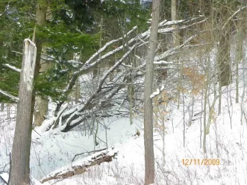 [Hearth.com] 2009 First Snow Fall