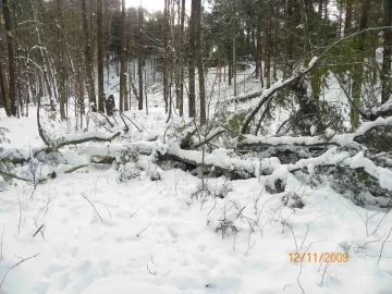 [Hearth.com] 2009 First Snow Fall