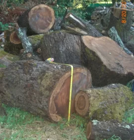 [Hearth.com] Who has burned black walnut?