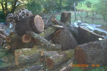 [Hearth.com] Who has burned black walnut?