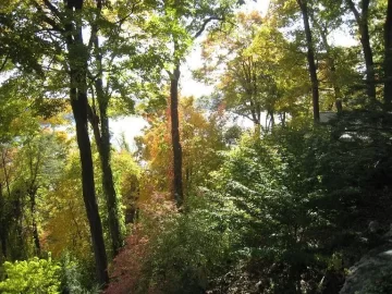[Hearth.com] Postcard from Connecticut - Autumn in New England